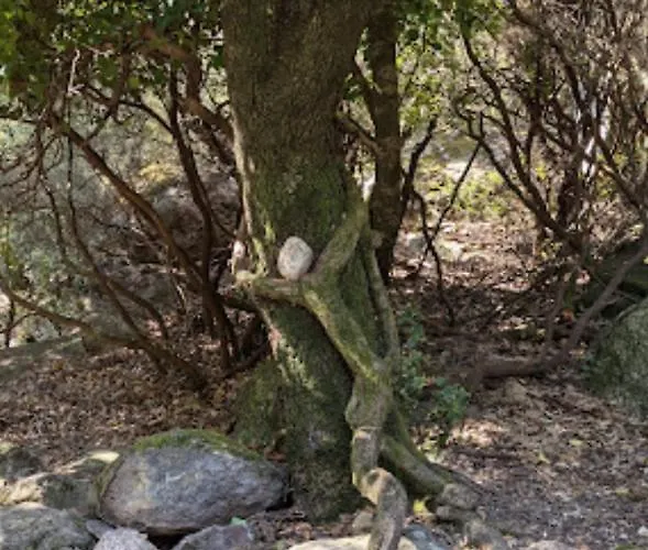 Du Soleil Διαμέρισμα *