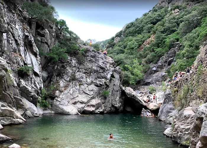 Du Soleil * Μπεζιέ