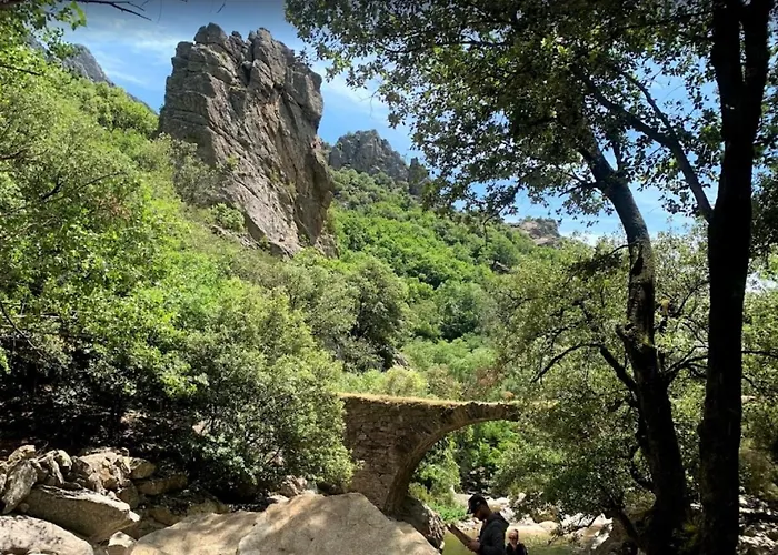 Du Soleil Διαμέρισμα